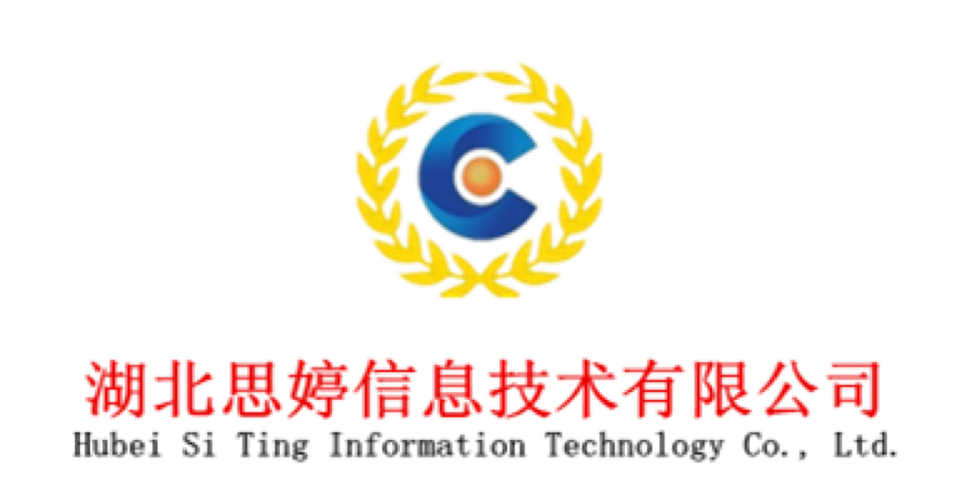 湖北思婷信息技术 深耕信息技术咨询服务的专业力量